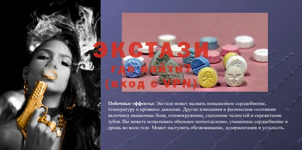 индика Новодвинск