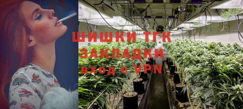 Канабис SATIVA & INDICA  МЕГА tor  Нелидово 